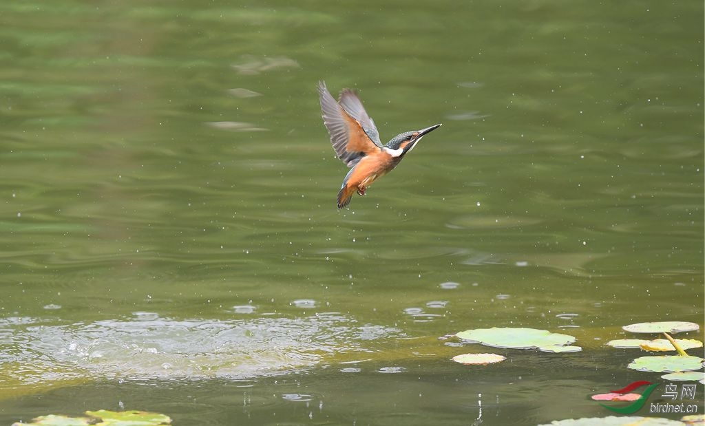 DSC_5830_����.jpg