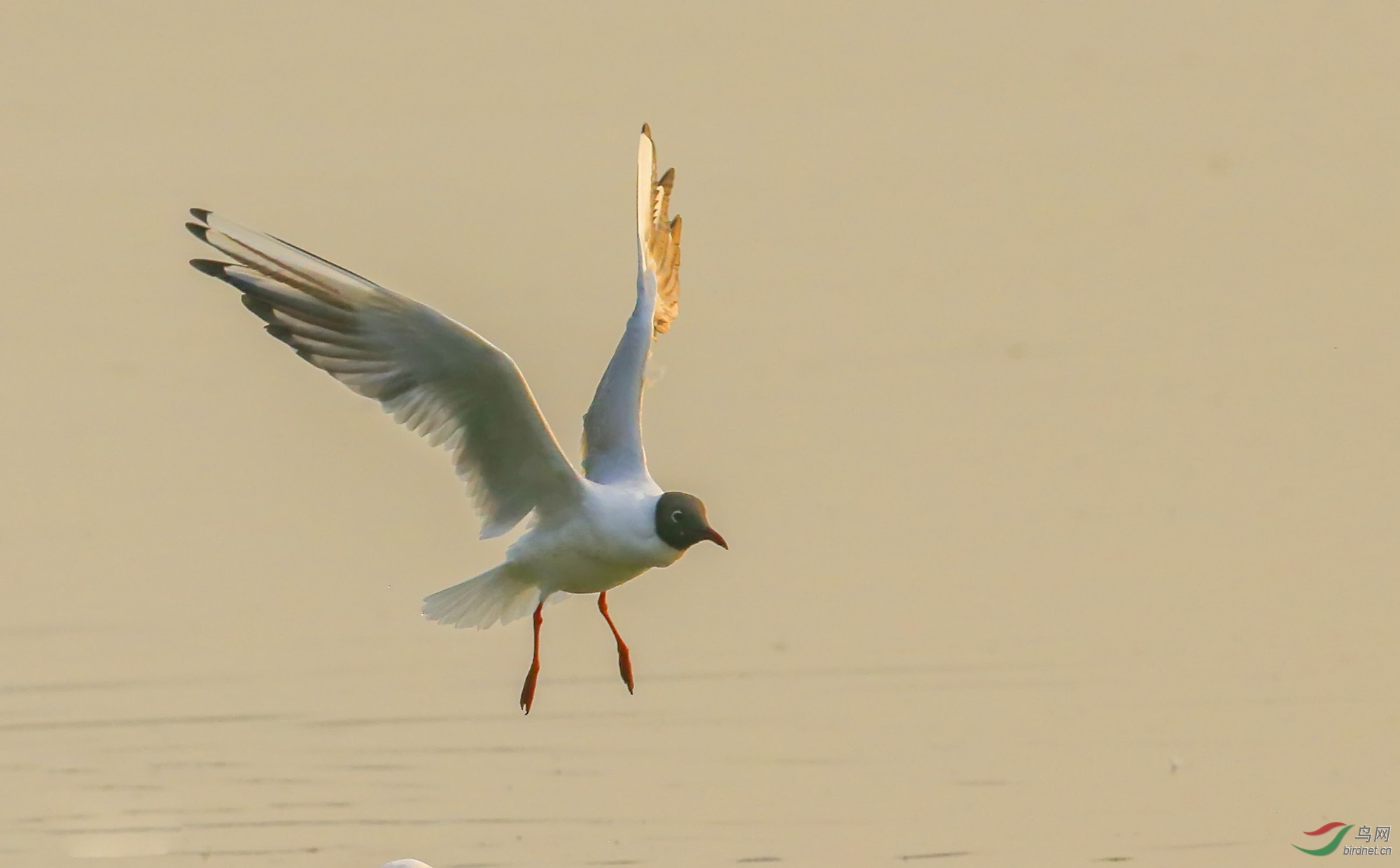 4z-��=   (5).jpg