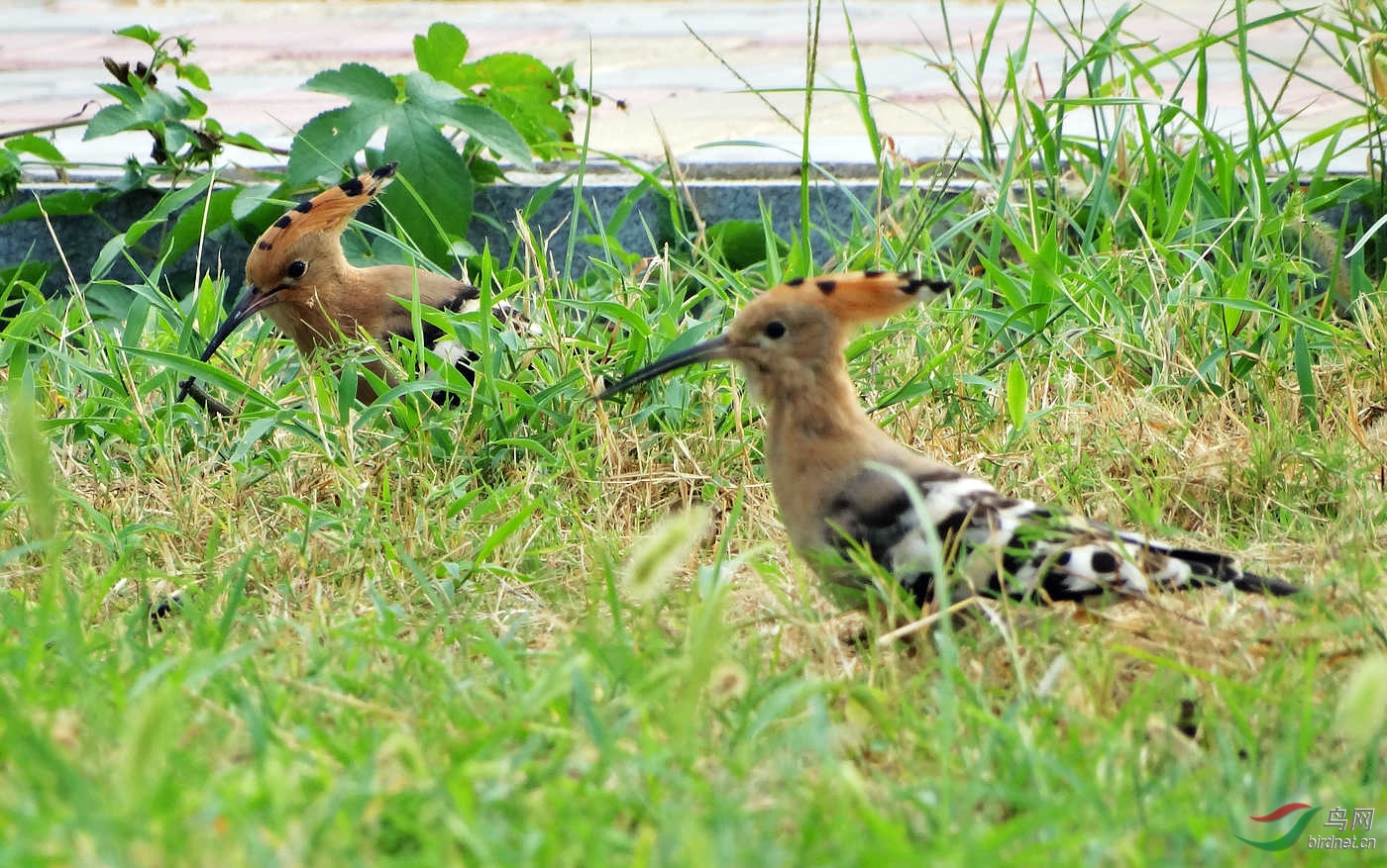 DSC05085.JPG