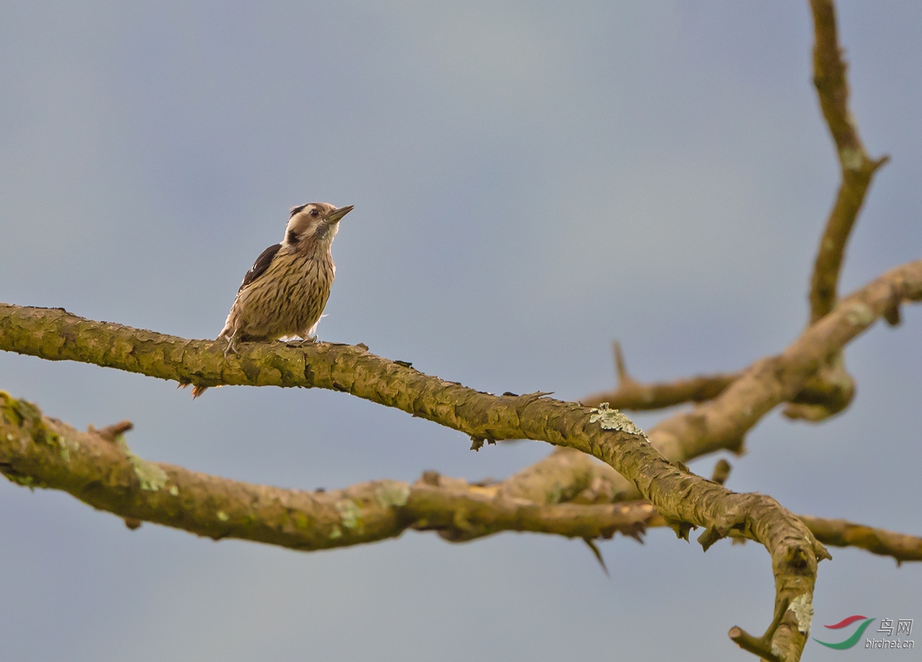 DSC_5741.jpg