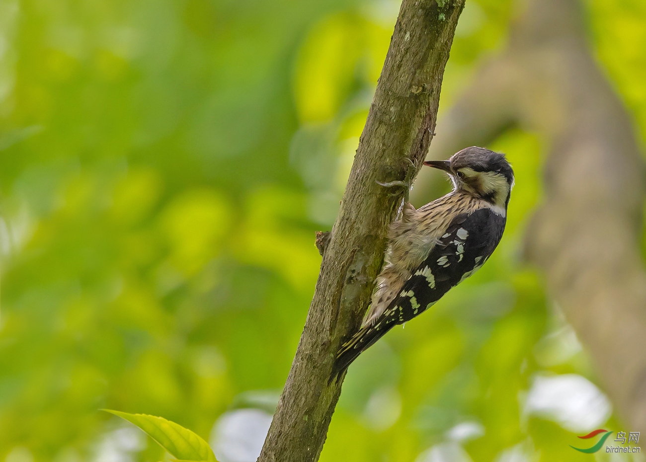 DSC_5799.jpg