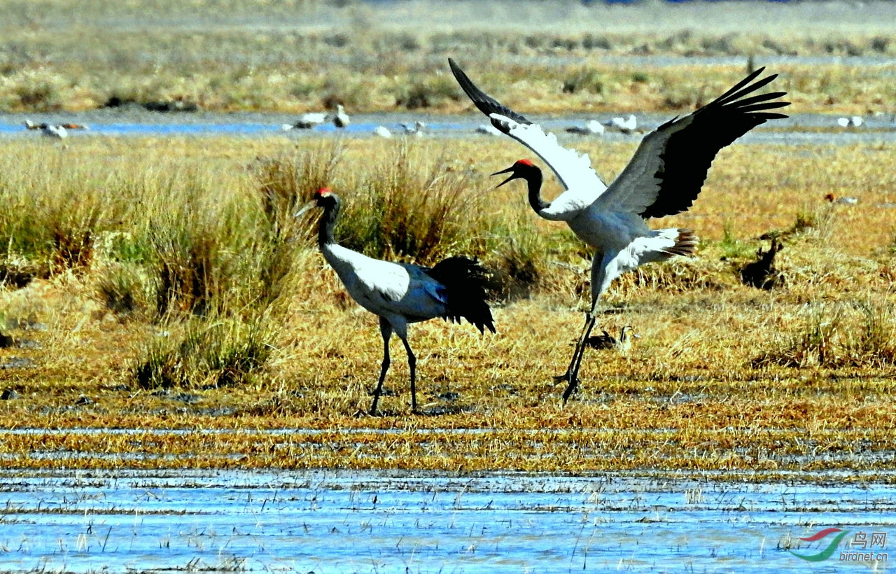 �῵2018.3.4�ݺ� 119.jpg