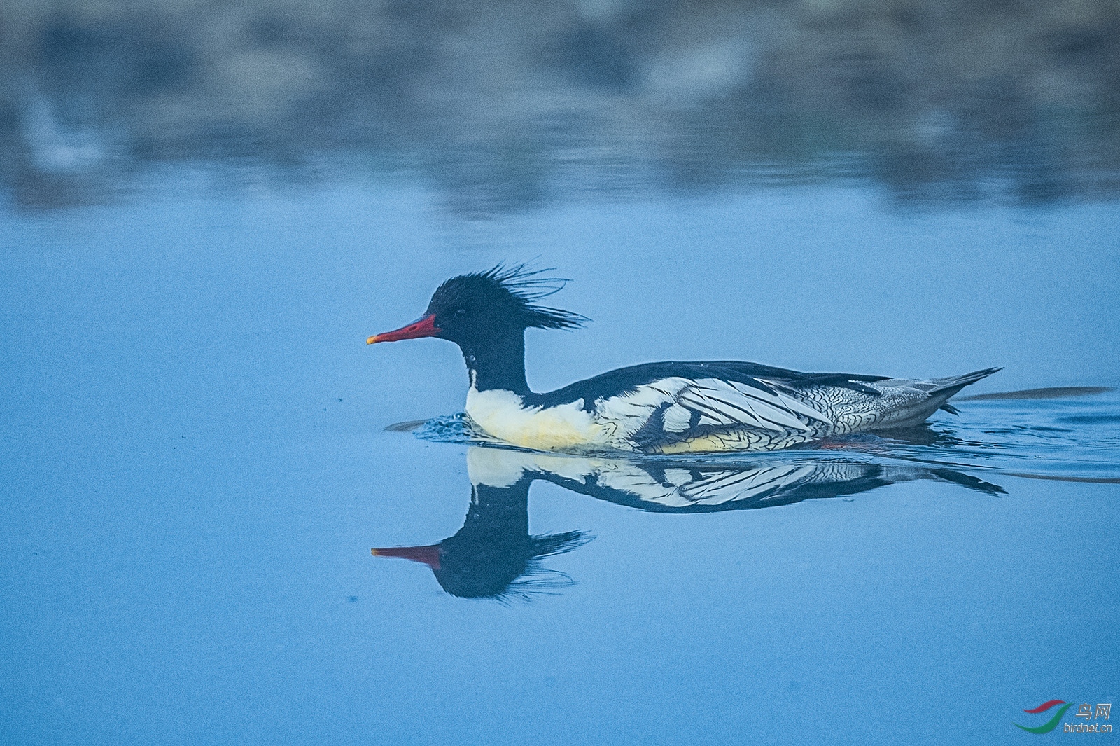 _DSC2573_3133a.jpg
