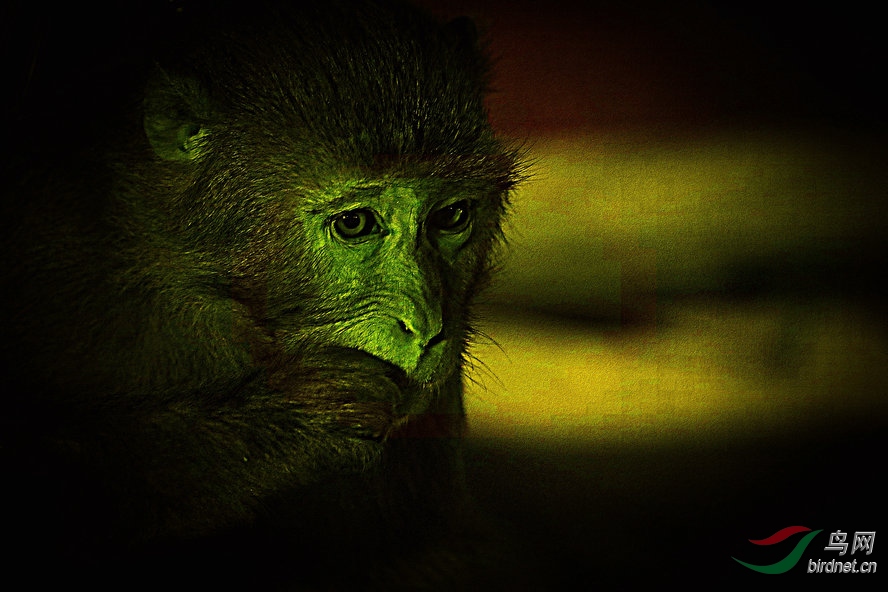 AQ1I4944_����_����1_����.jpg