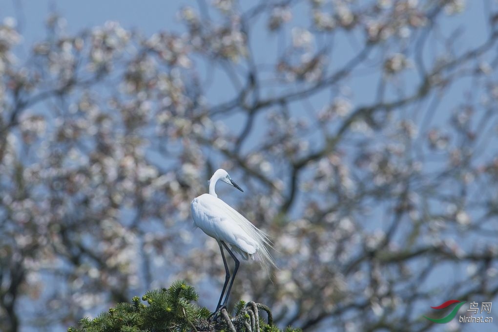 nEO_IMG_DSC_5113.jpg