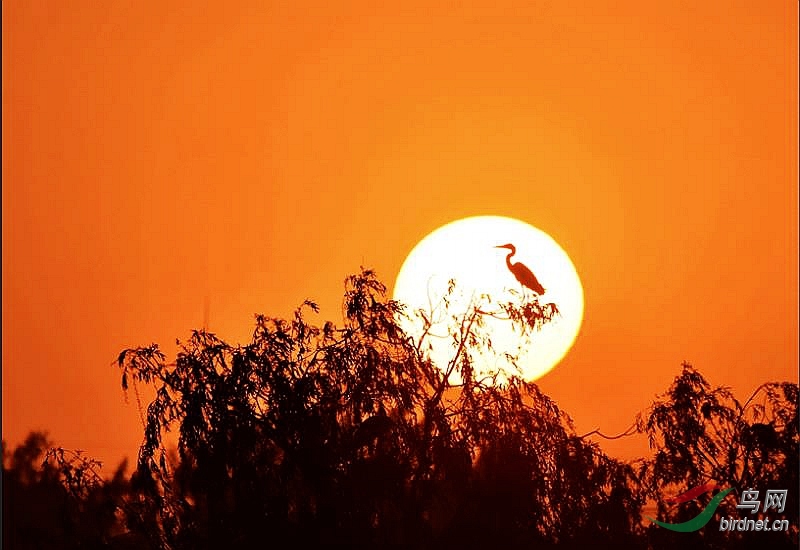 Ϧ���µĲ���