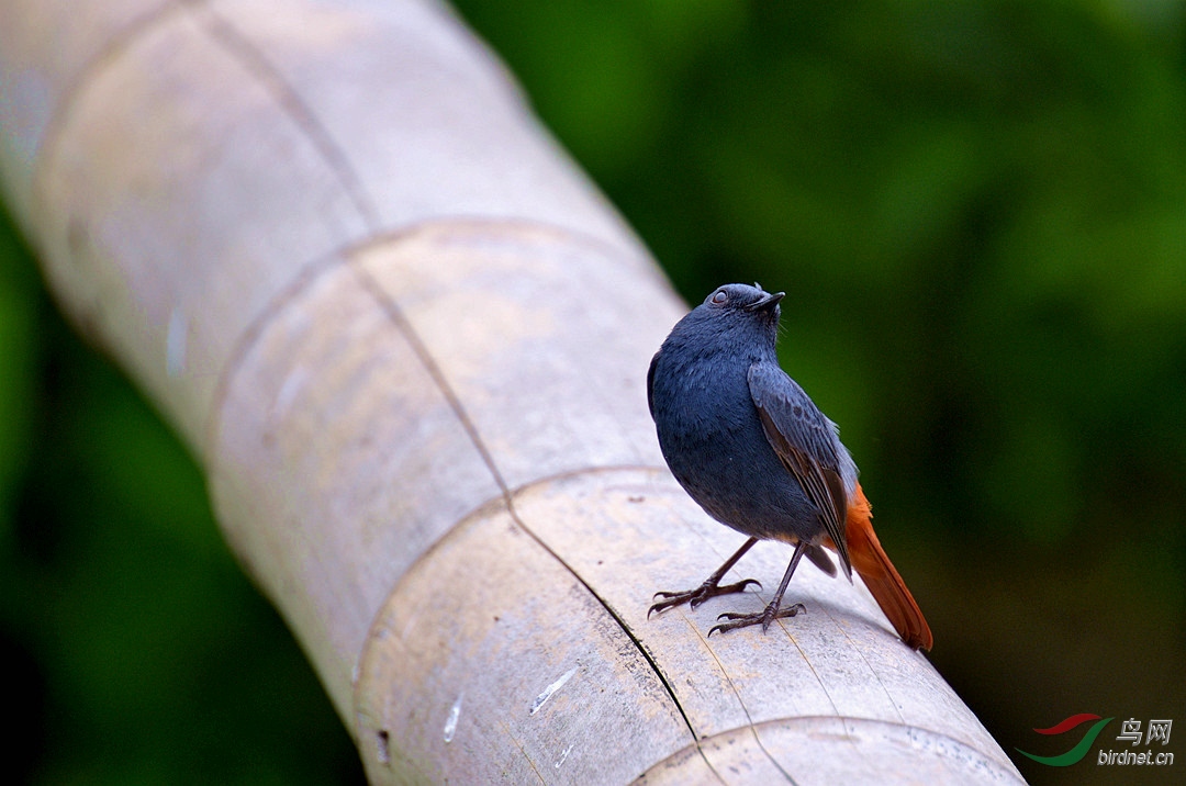 DSC_4846.JPG