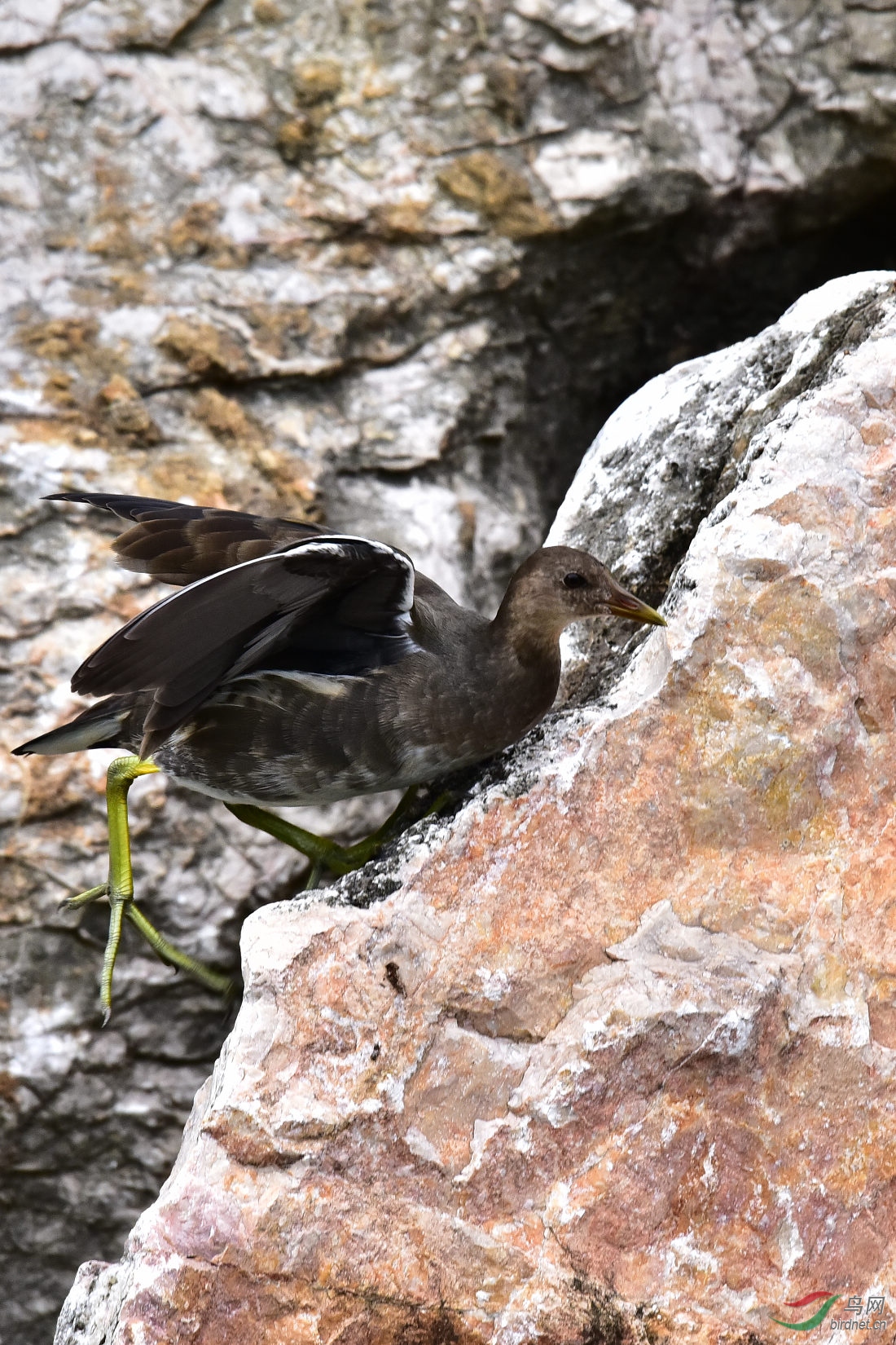 DSC_1072.JPG