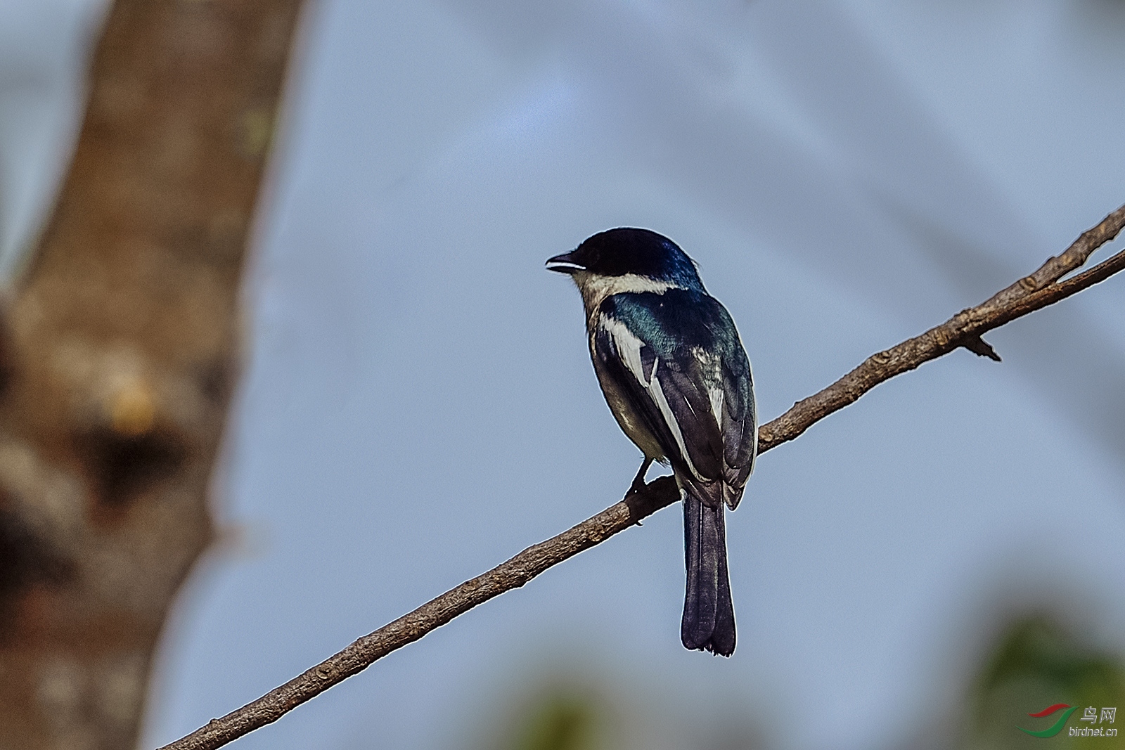 _DSC5833_1343a.jpg