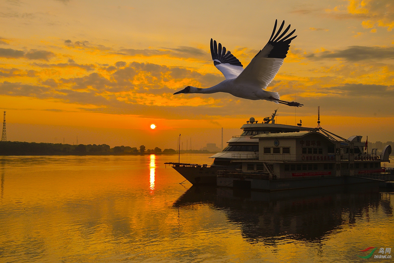 _D8A5116_791aw1.jpg