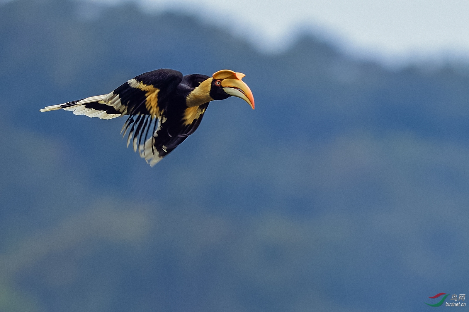 _DSC6340_1361a.jpg