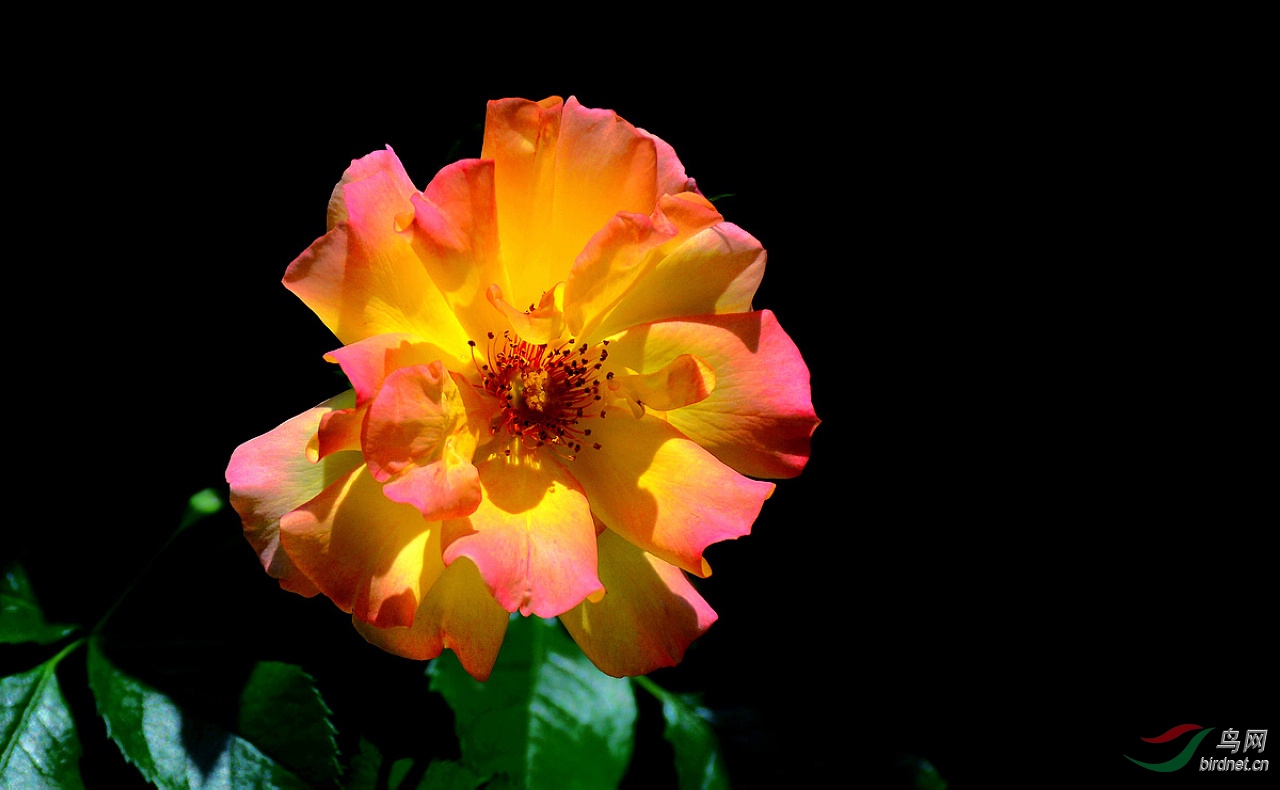 DSC_3392.JPG