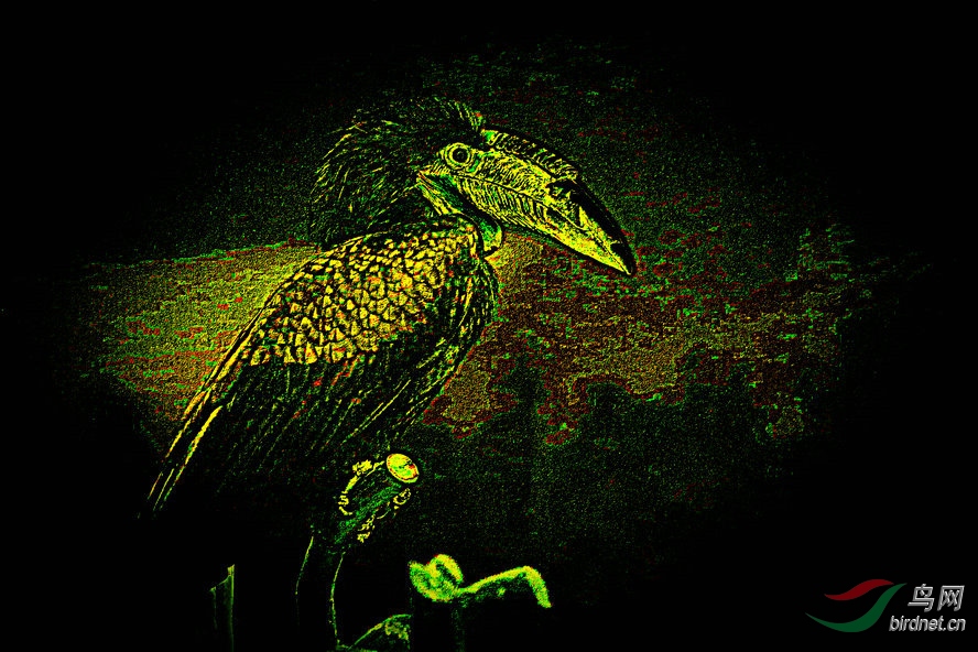 AQ1I5350_����_����1_����_����.jpg