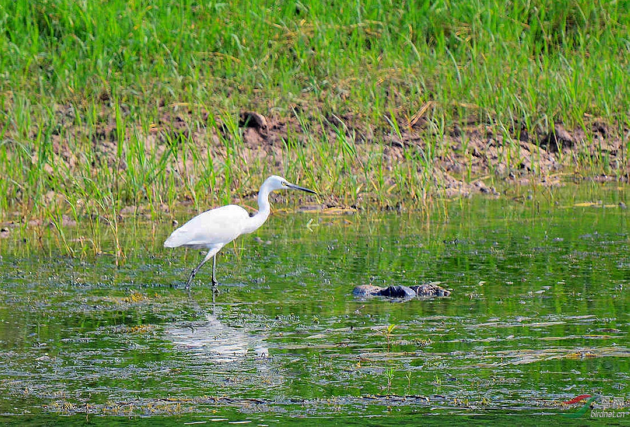 DSC_8160.JPG