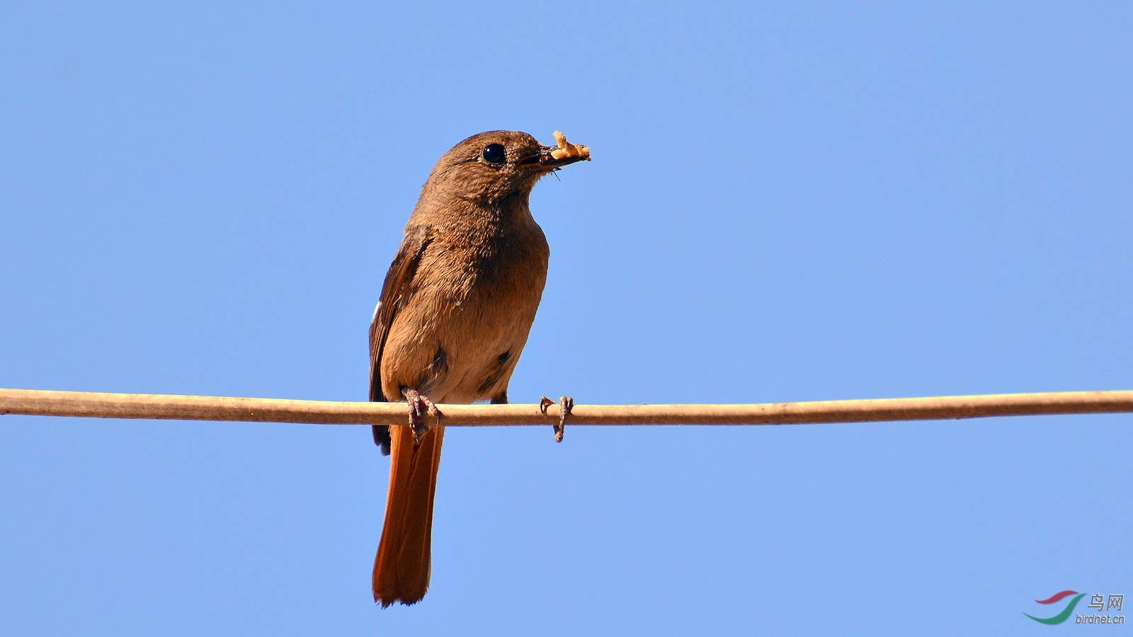 DSC_8437.JPG