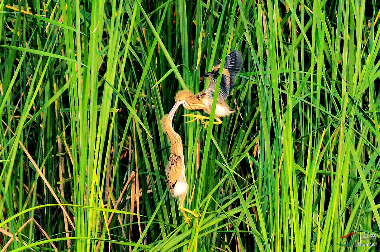 DSC_7354.JPG