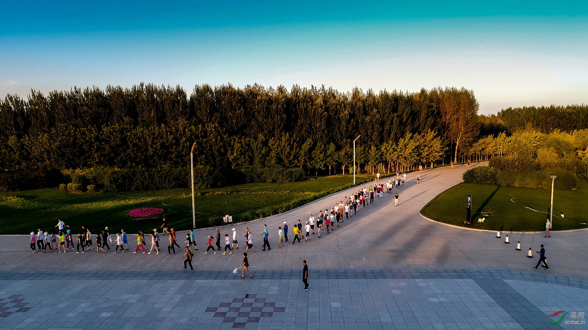 DJI_0036_1.jpg