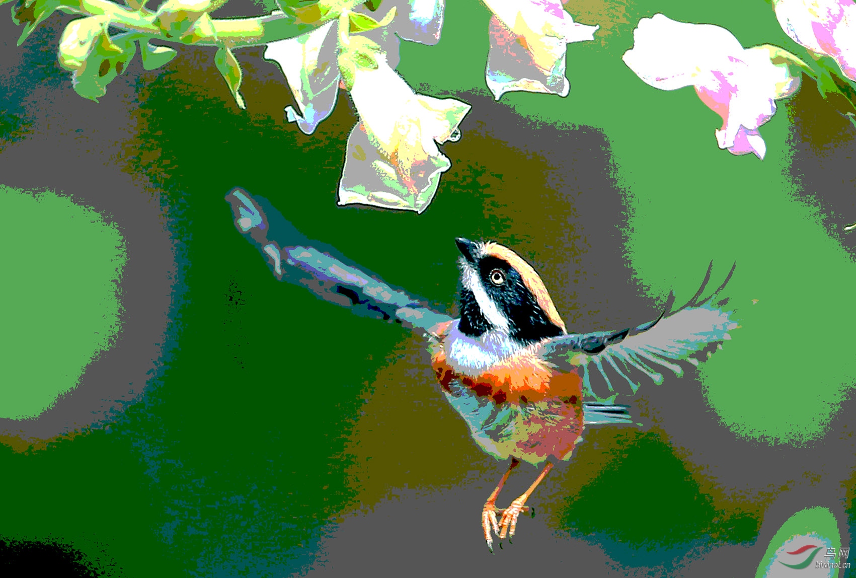 AB0R6025.jpg