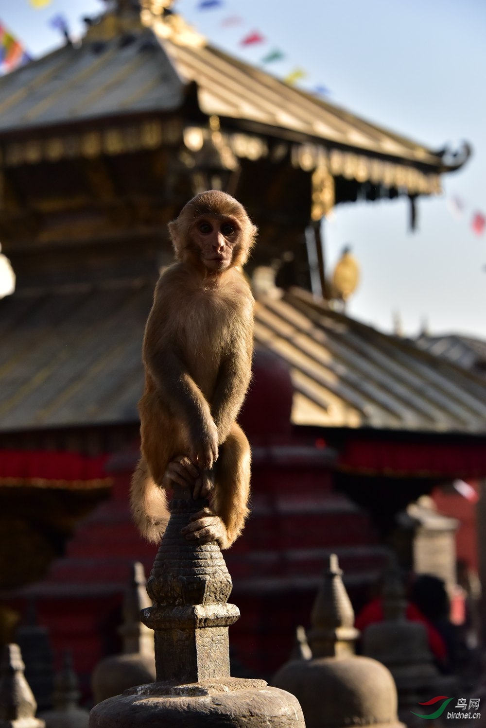 ����ľ���