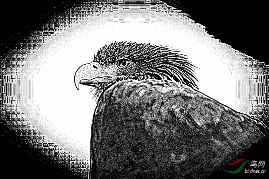 AQ1I4758_����_����1_����1_����1_����1_����1_����_����.JPG