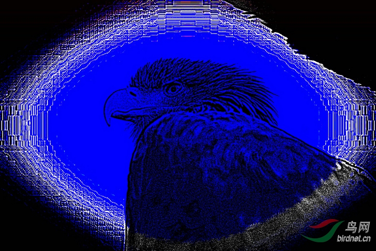 AQ1I4758_����_����1_����1_����1_����_����.JPG