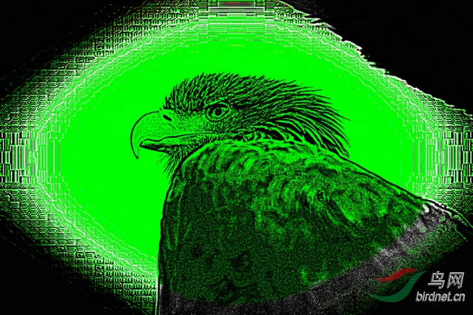 AQ1I4758_����_����1_����1_����1_����1_����_����.JPG