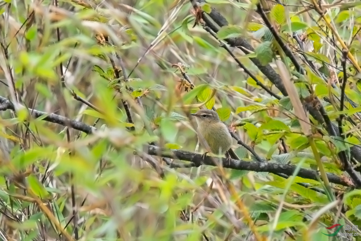 DSC_86262.jpg