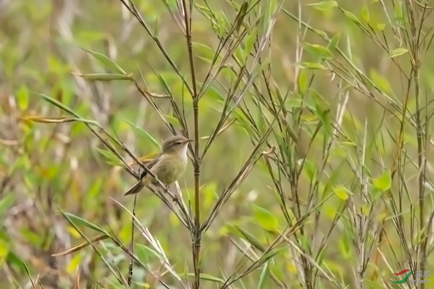 DSC_86332.jpg