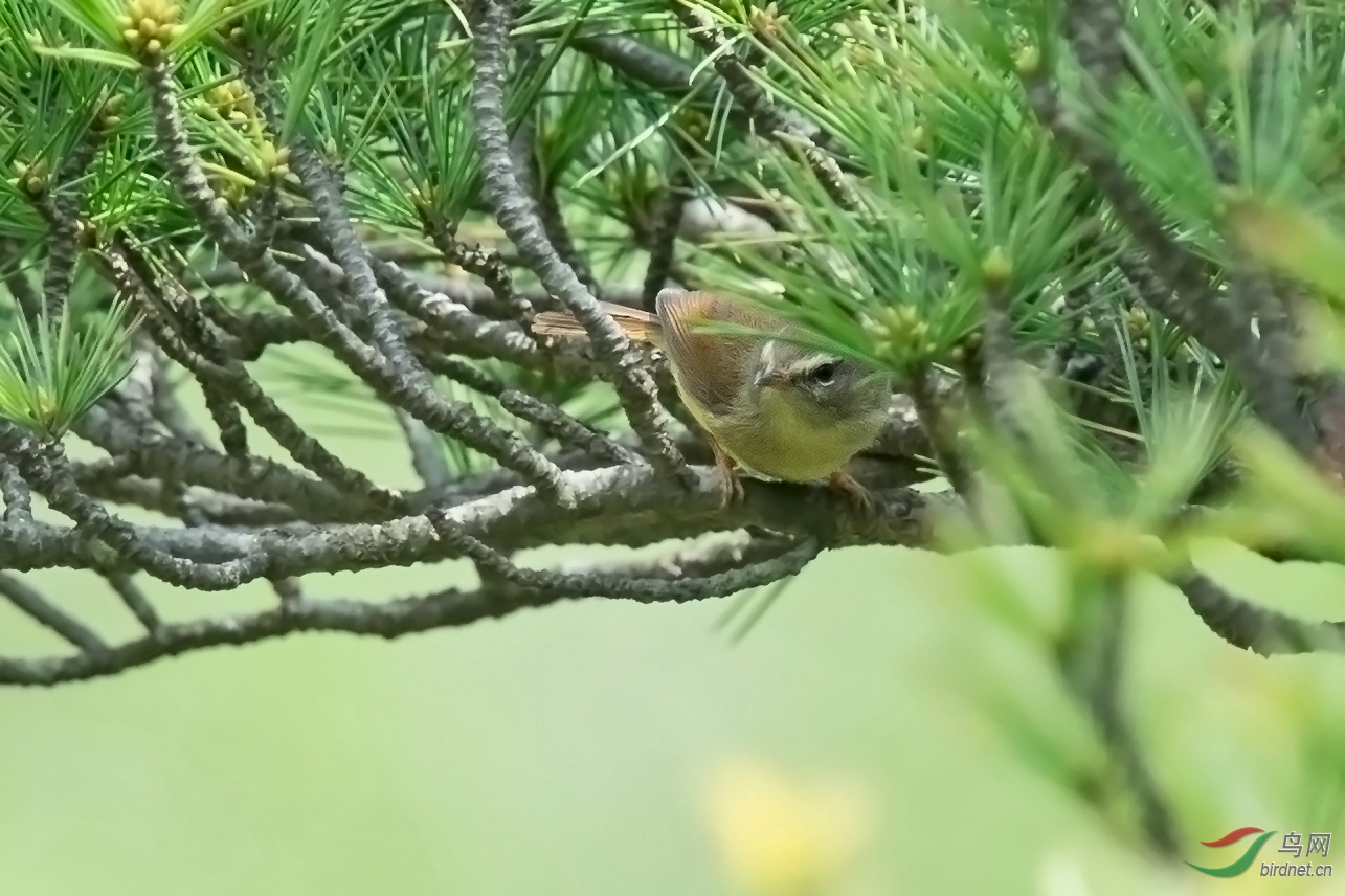 DSC_86592.jpg