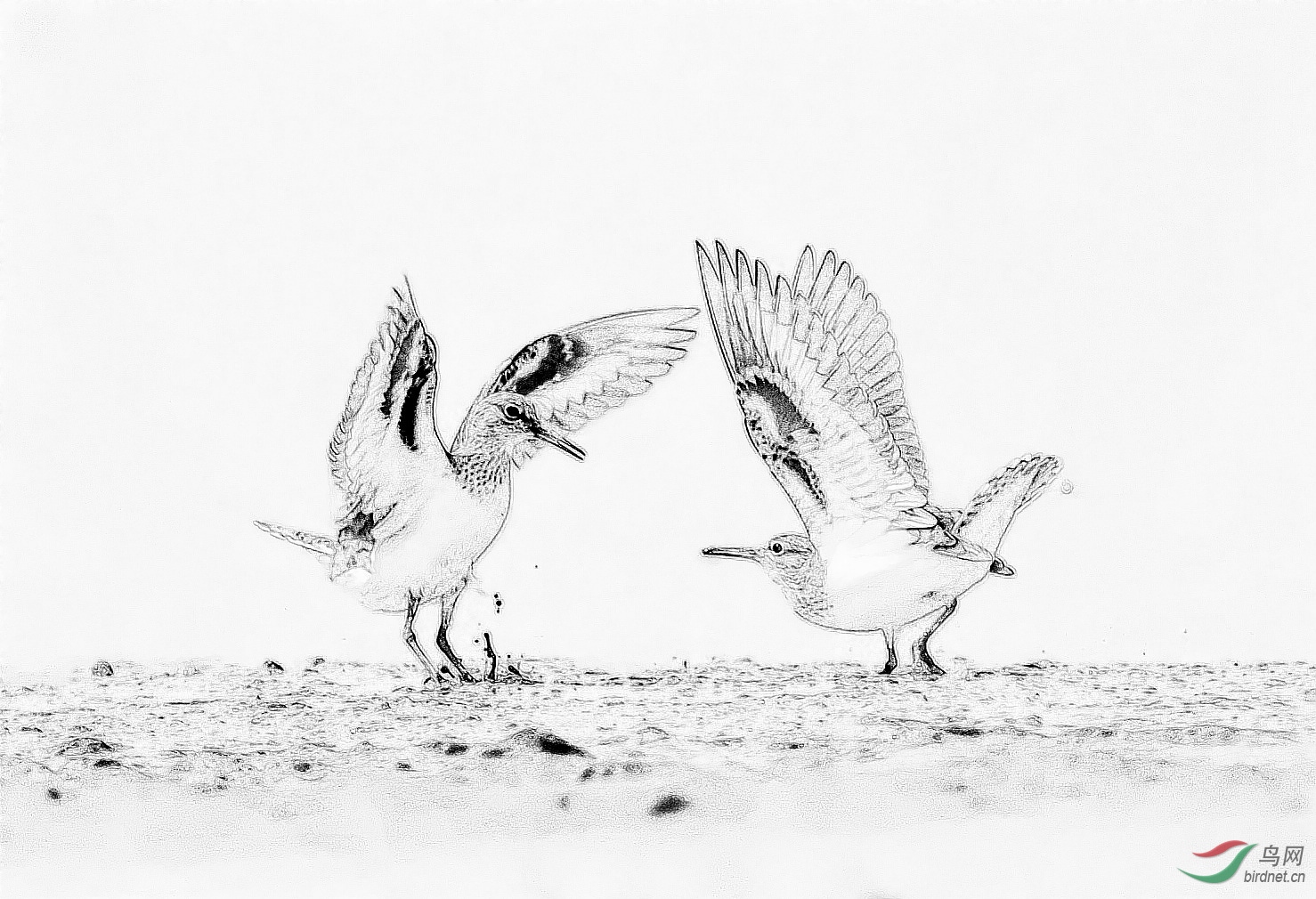 DSC_2691_conew11.jpg