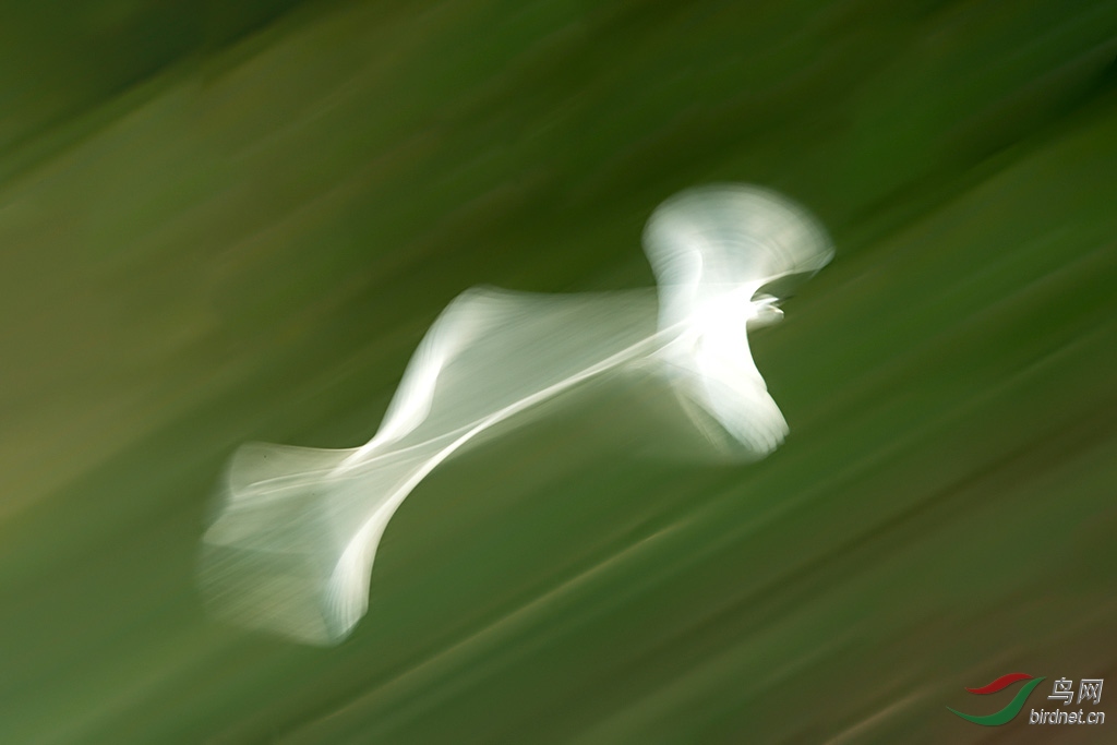 DSC_8164aa.jpg