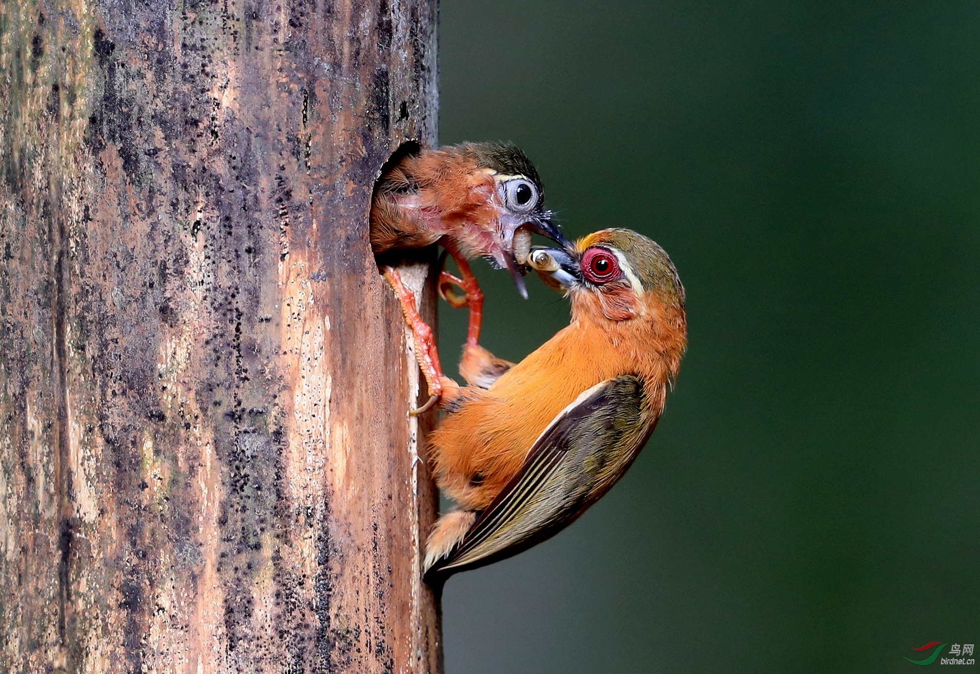 AI0I3102 - ����.JPG