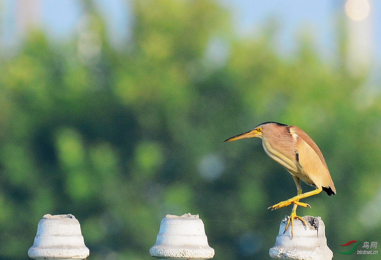 DSC_6523.JPG