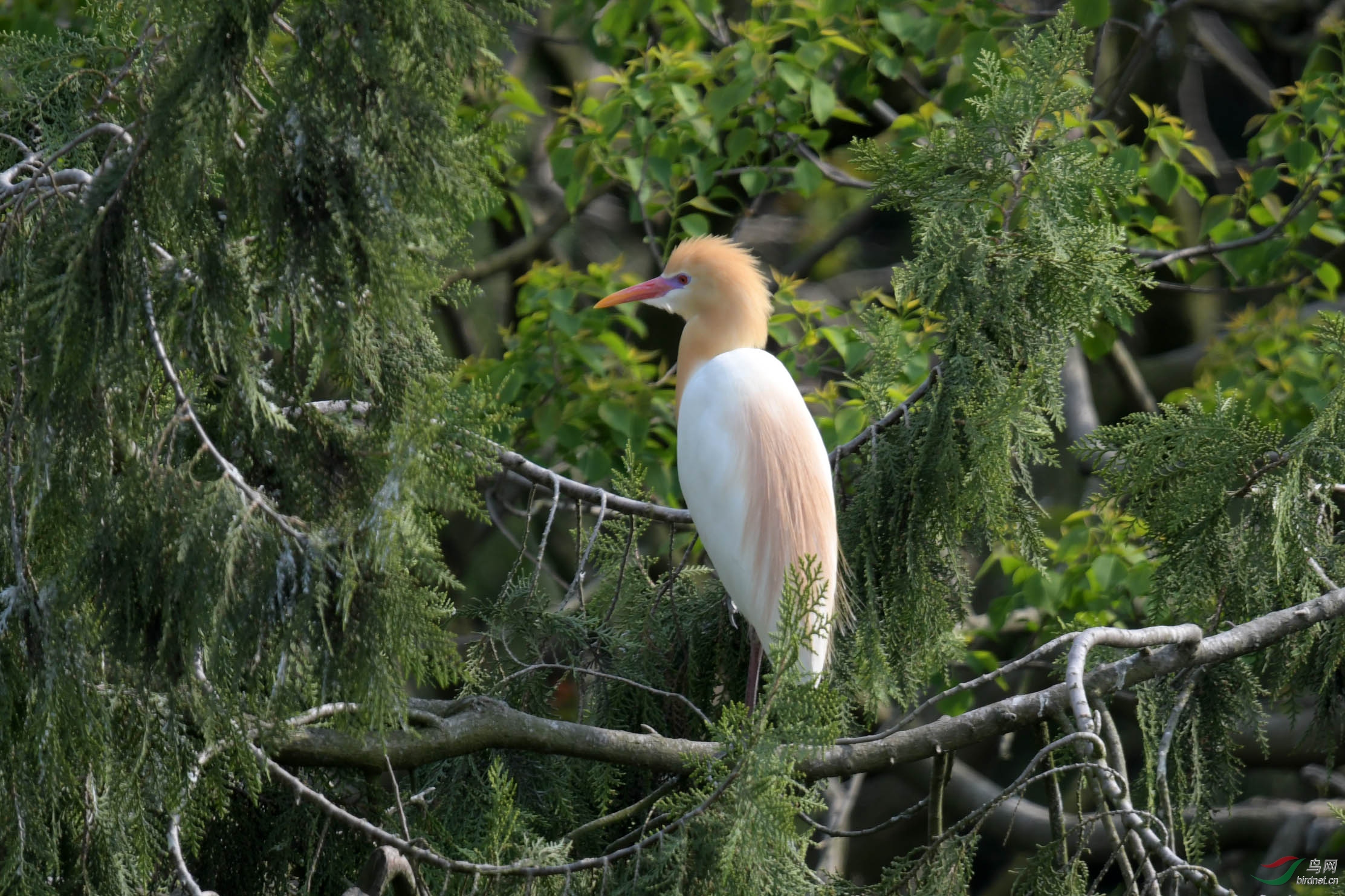 D50_2029.jpg