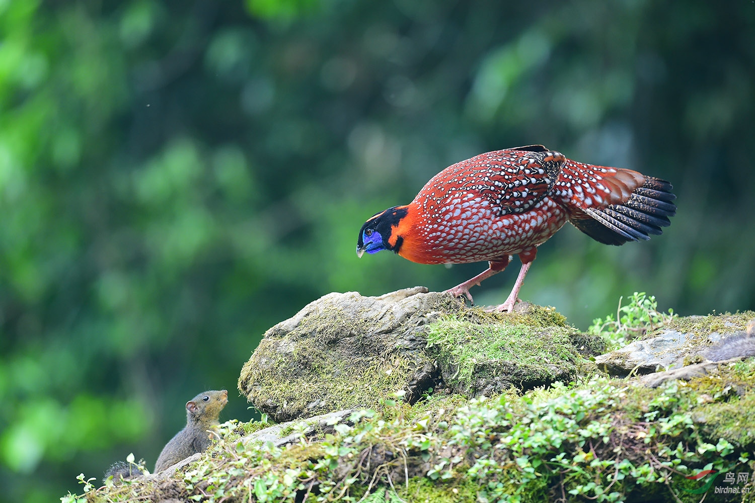DSC_4284fb.jpg