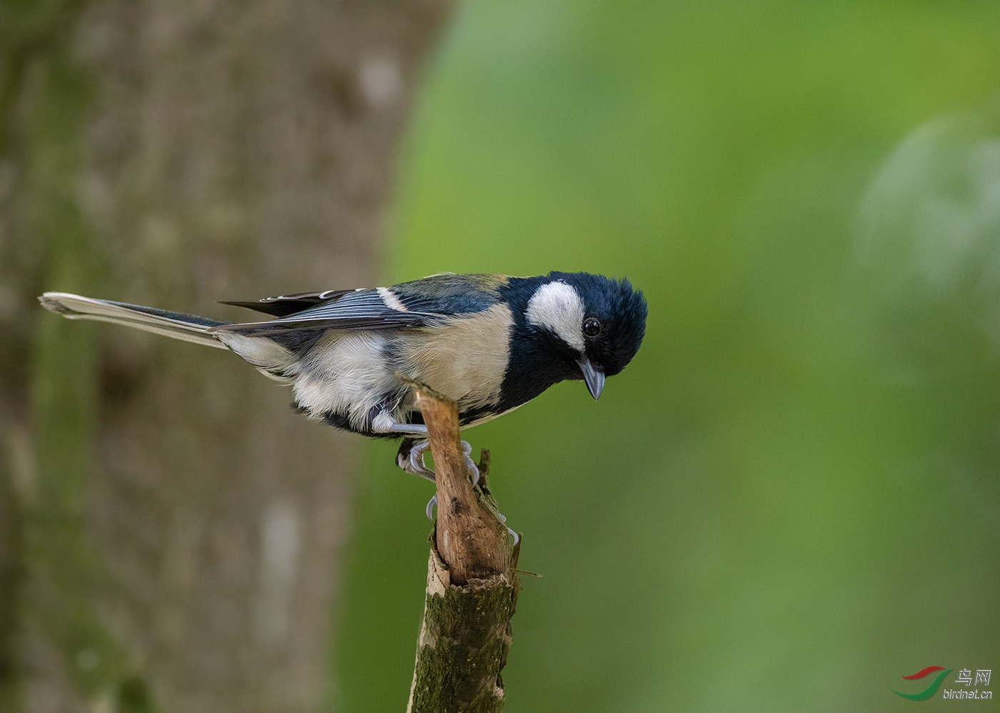 DSC_4202.jpg