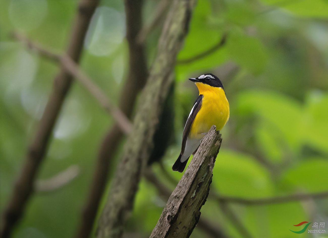DSC_5932.jpg