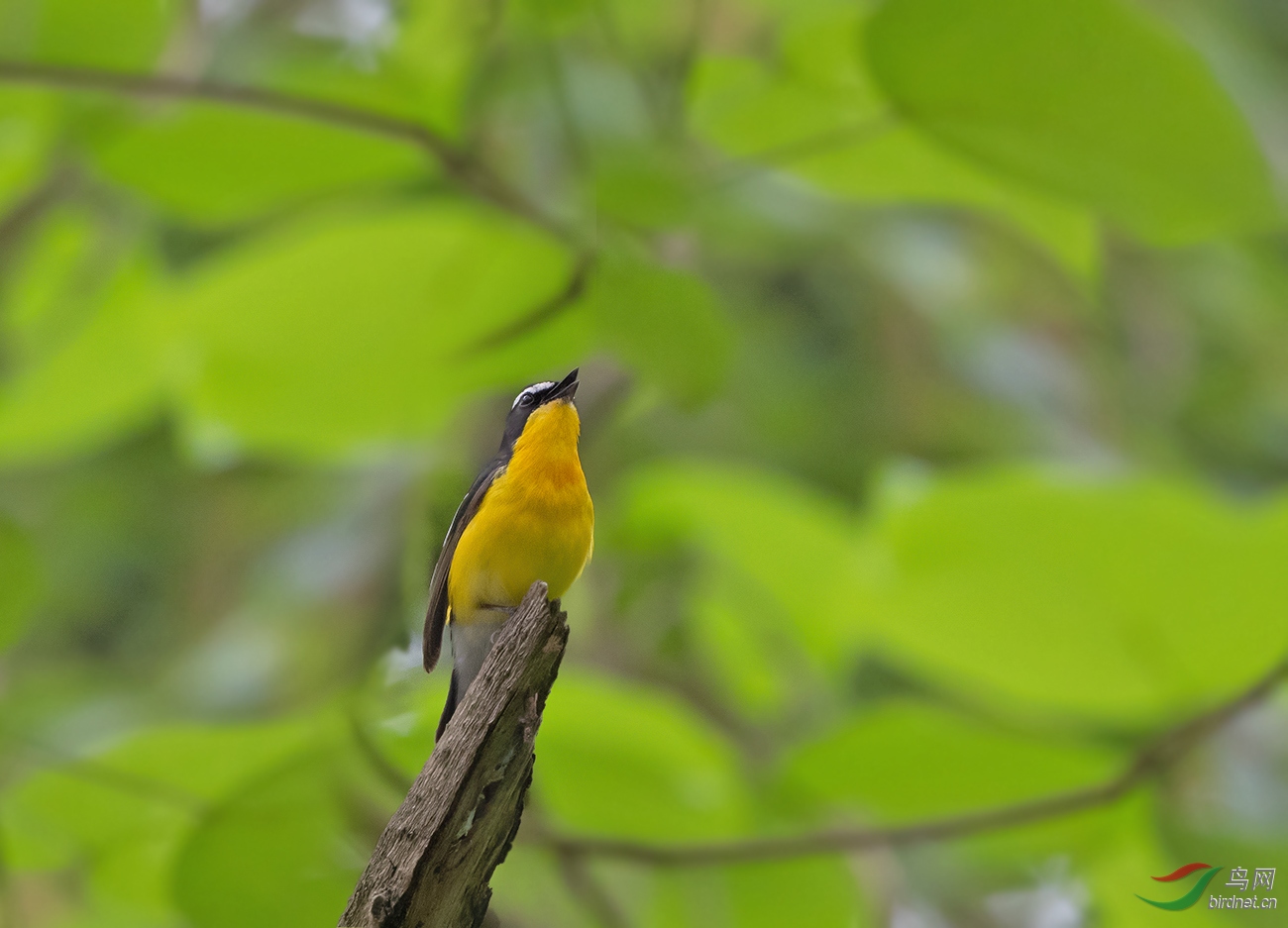 DSC_5943.jpg