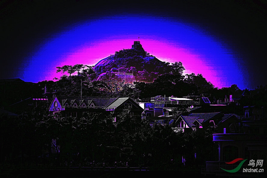 BW6I1849_����_����2_����1_����.JPG