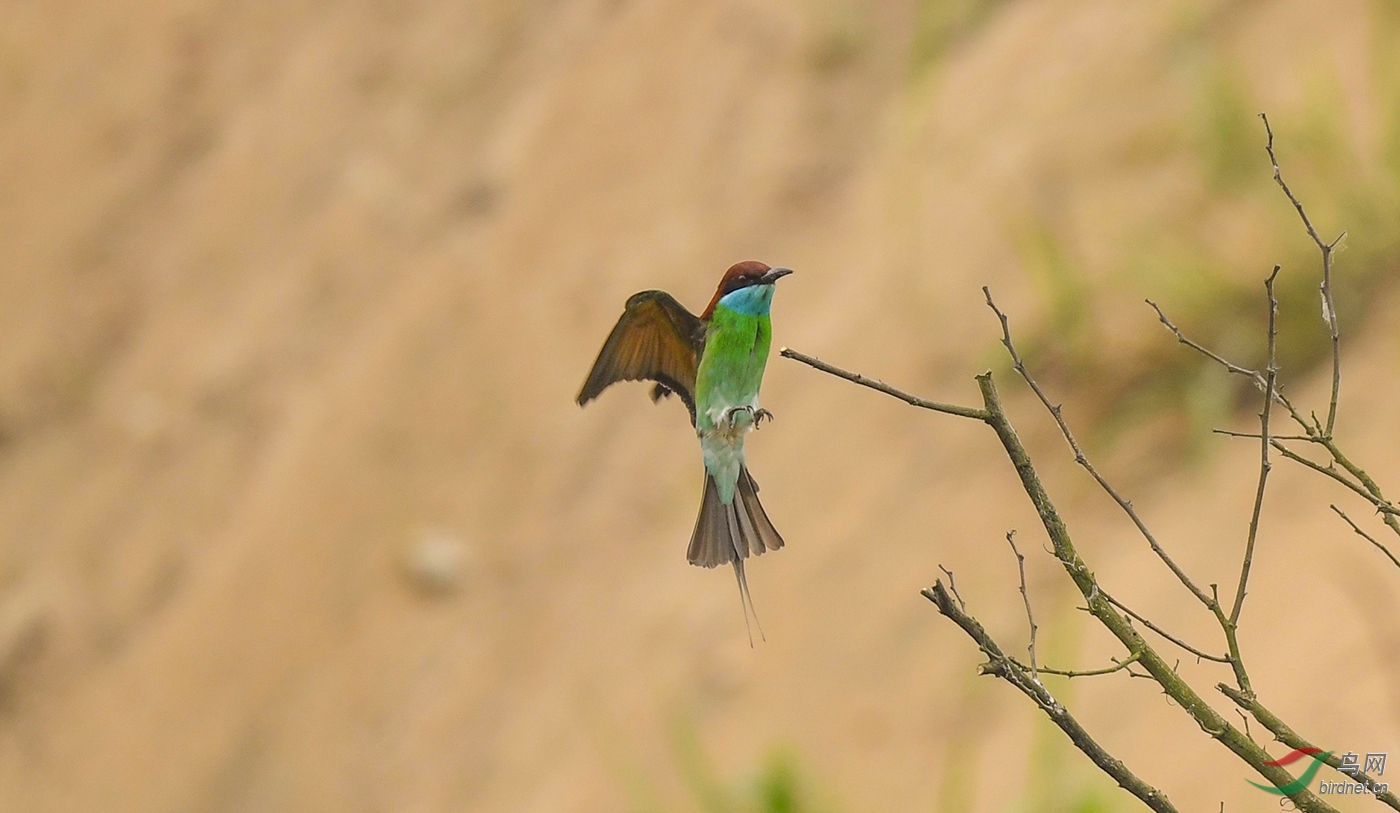 DSC_5708.jpg