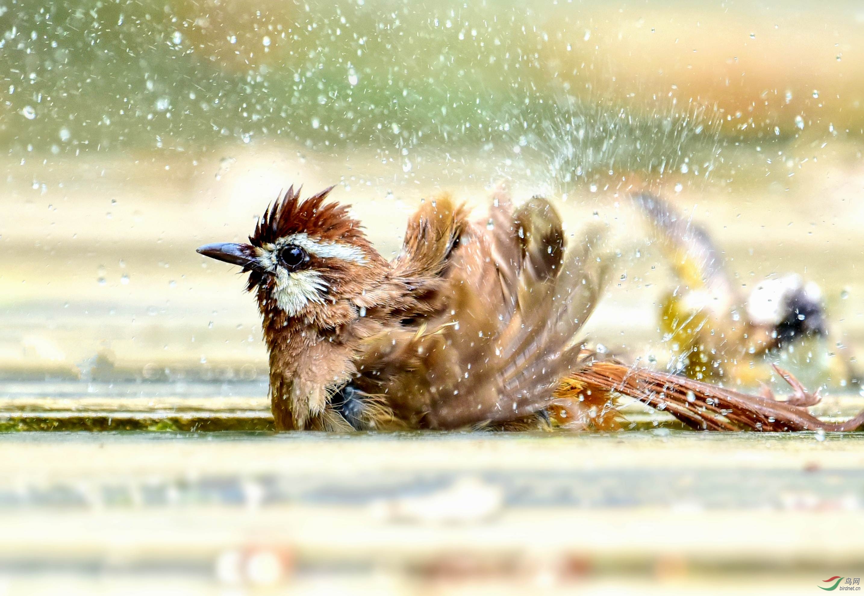 DSC_7790_conew2.jpg