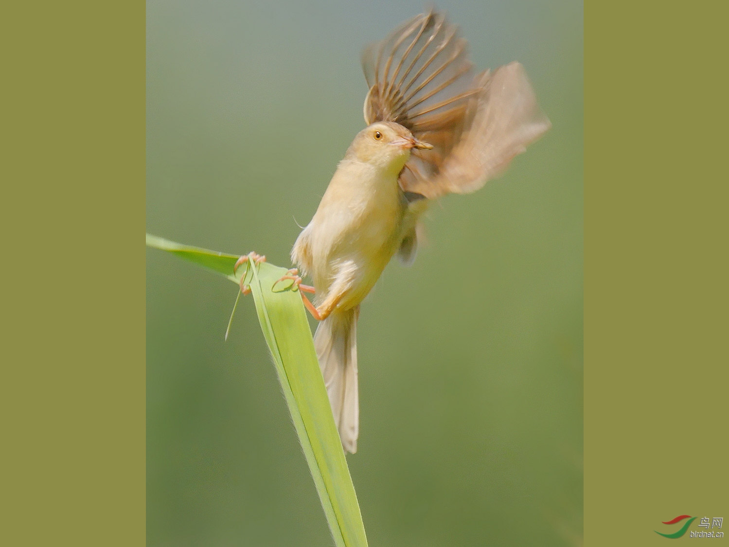 2019028.��������ĳ��