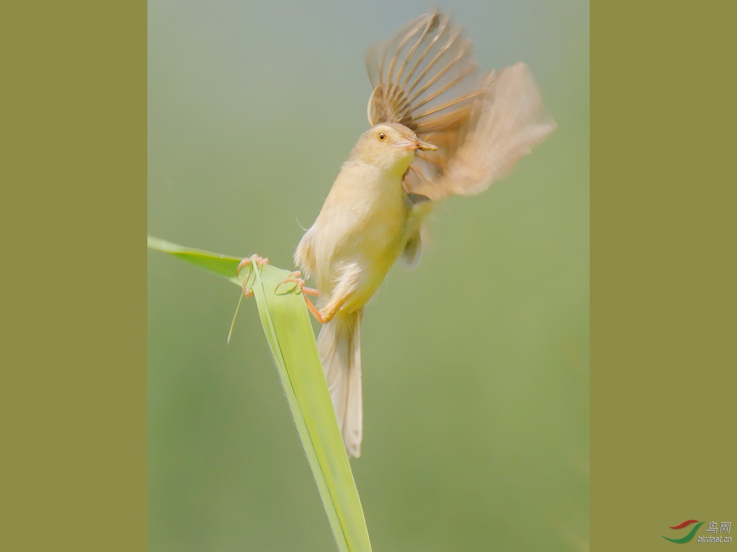 2019028.��������ĳ�򣨲��⣩