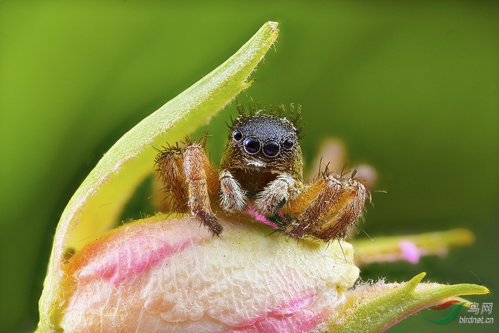 2019-05-26-10.40.12 ZS PMax.jpg