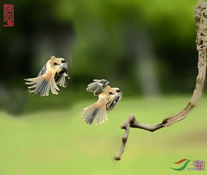 99074234-90A1-459C-A478-0FB7CF0691A4.jpeg