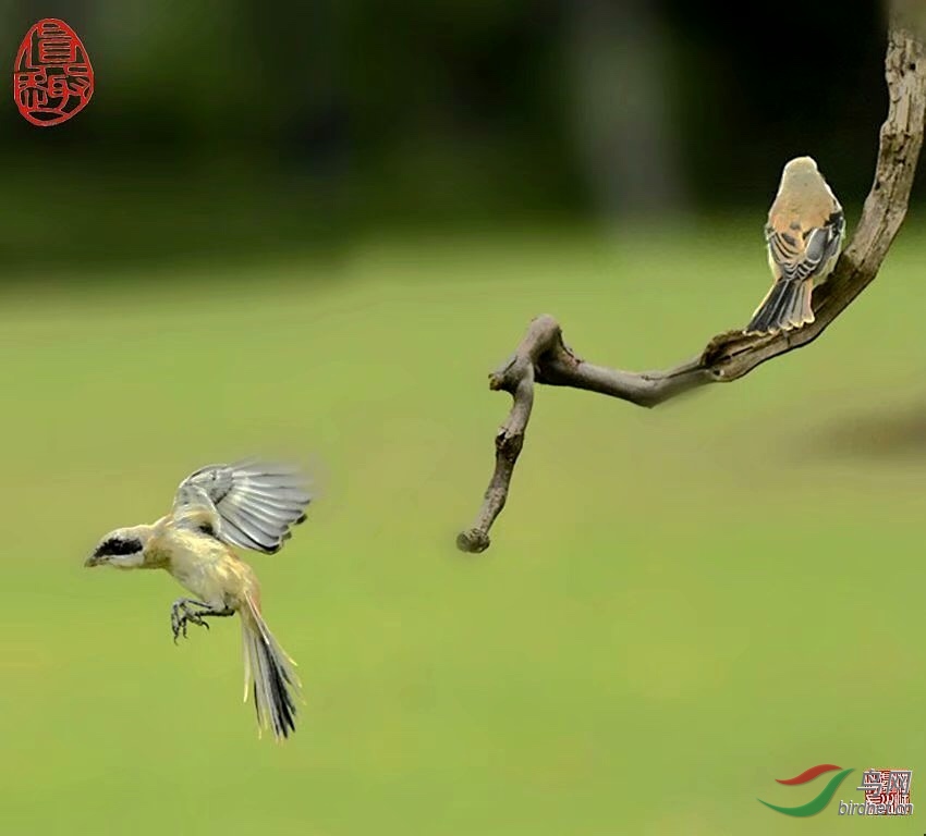 7ABD68B6-1688-4B07-82AC-9C4D7BB5CDE8.jpeg