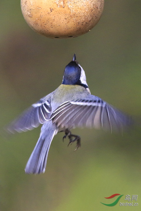 H3A7741-.jpg