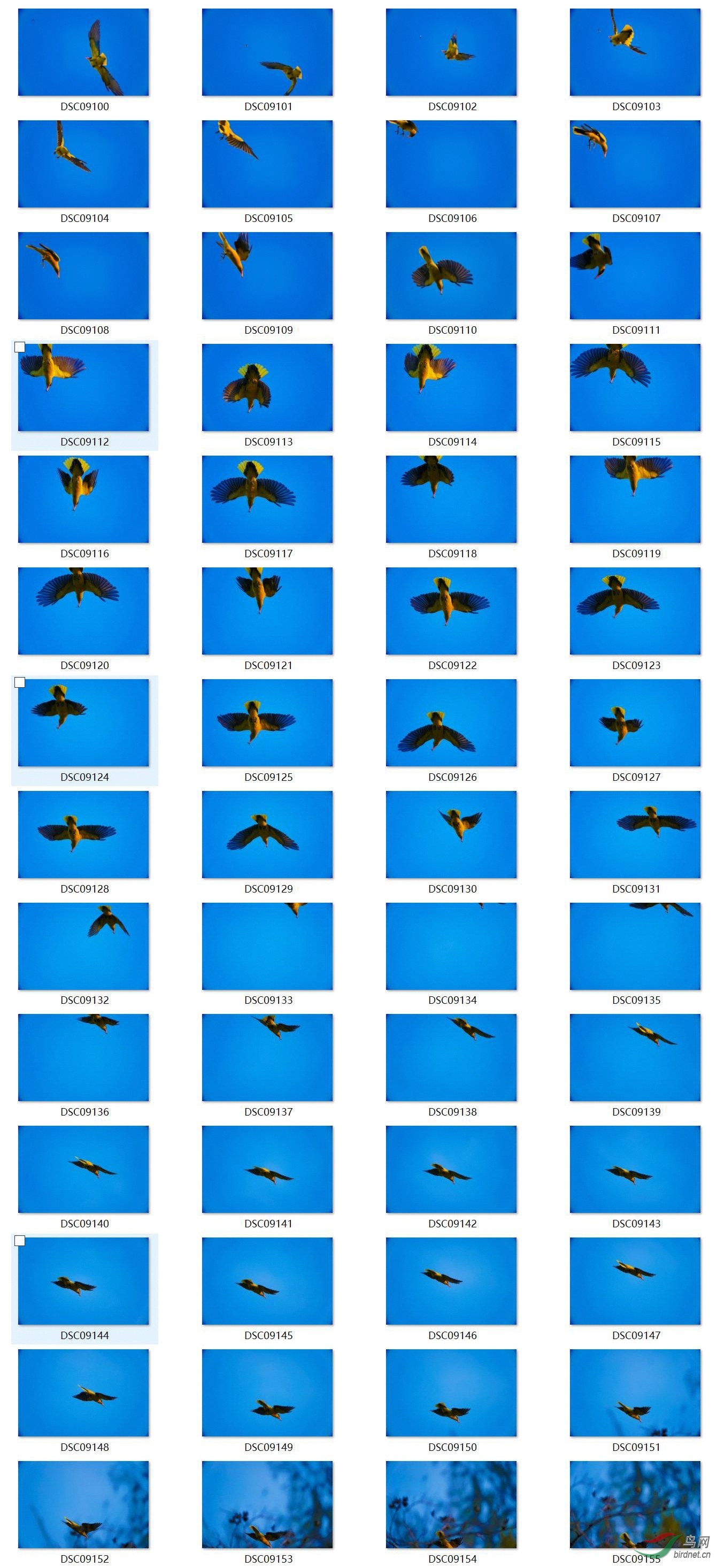 1482889_1552486807770.jpg