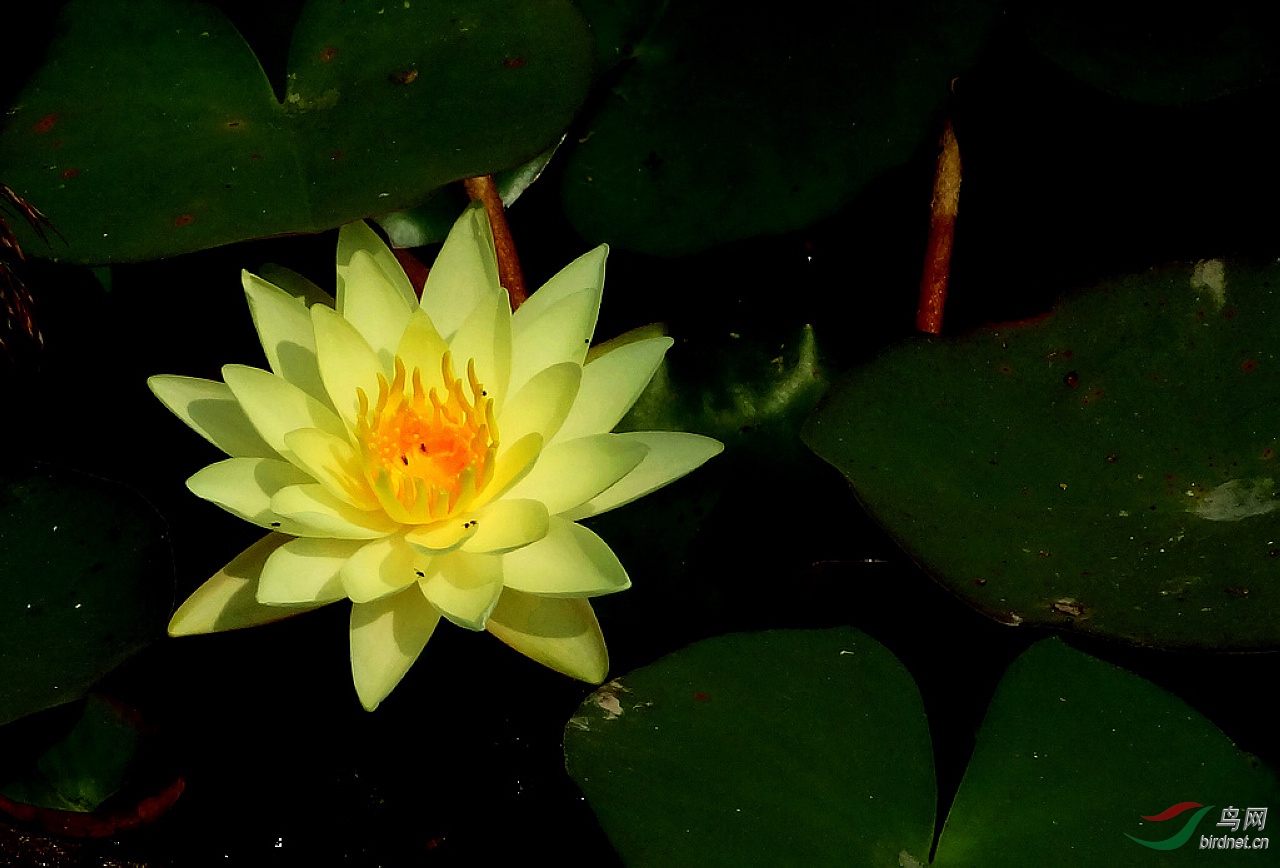 DSC05817.JPG