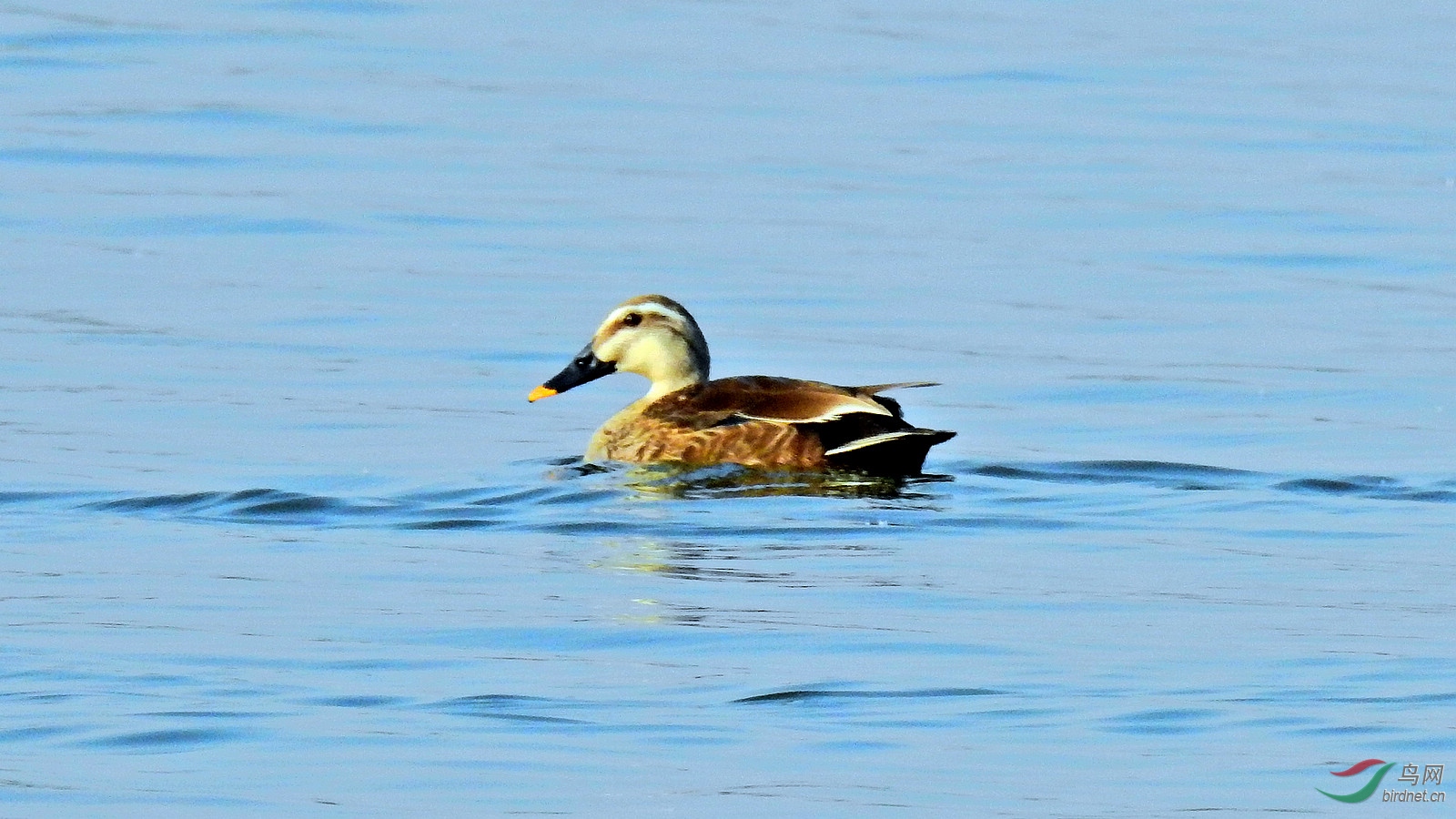 DSCN8575.JPG